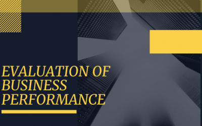 Evaluation of Business Performance
